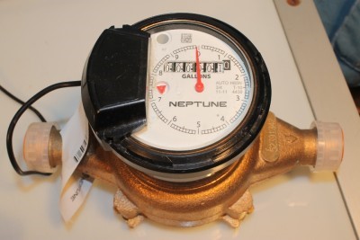 neptune meter