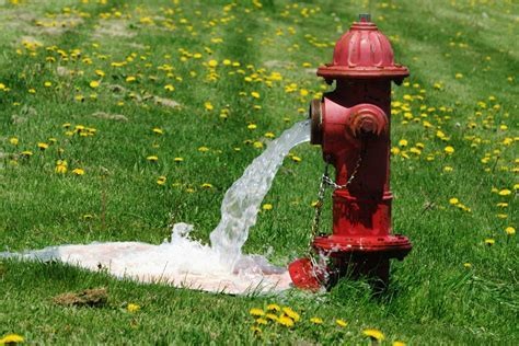 Hydrant Flushing